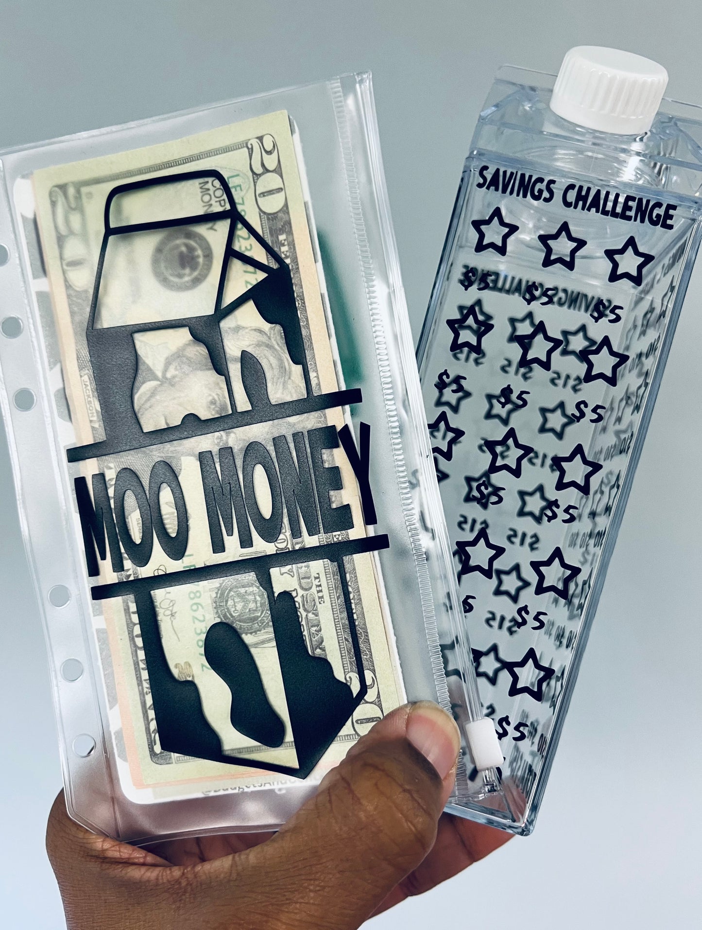 **Milk Carton Water Bottle - Savings Challenge