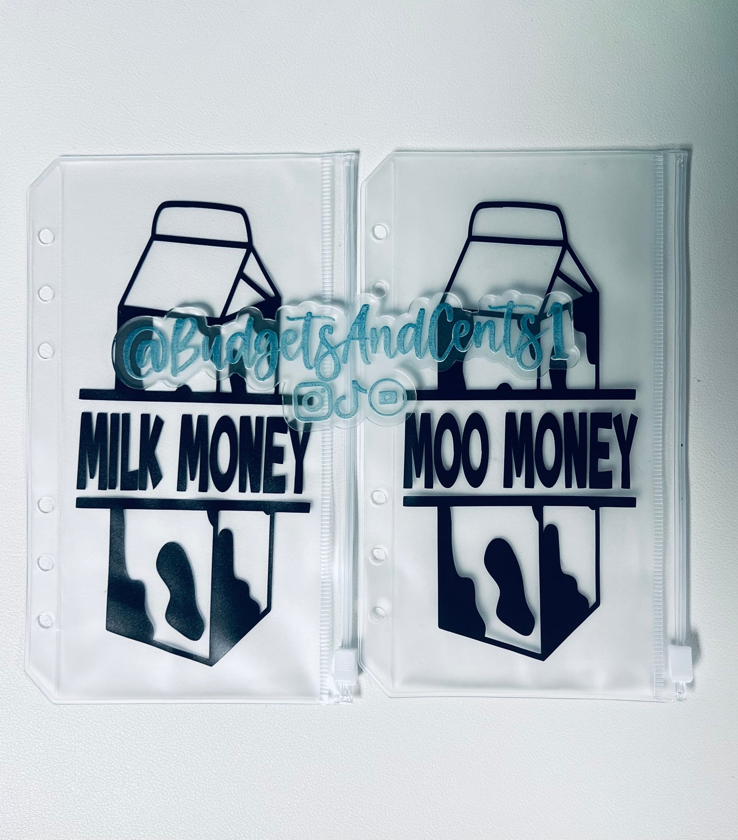 **Milk Carton Water Bottle - Savings Challenge