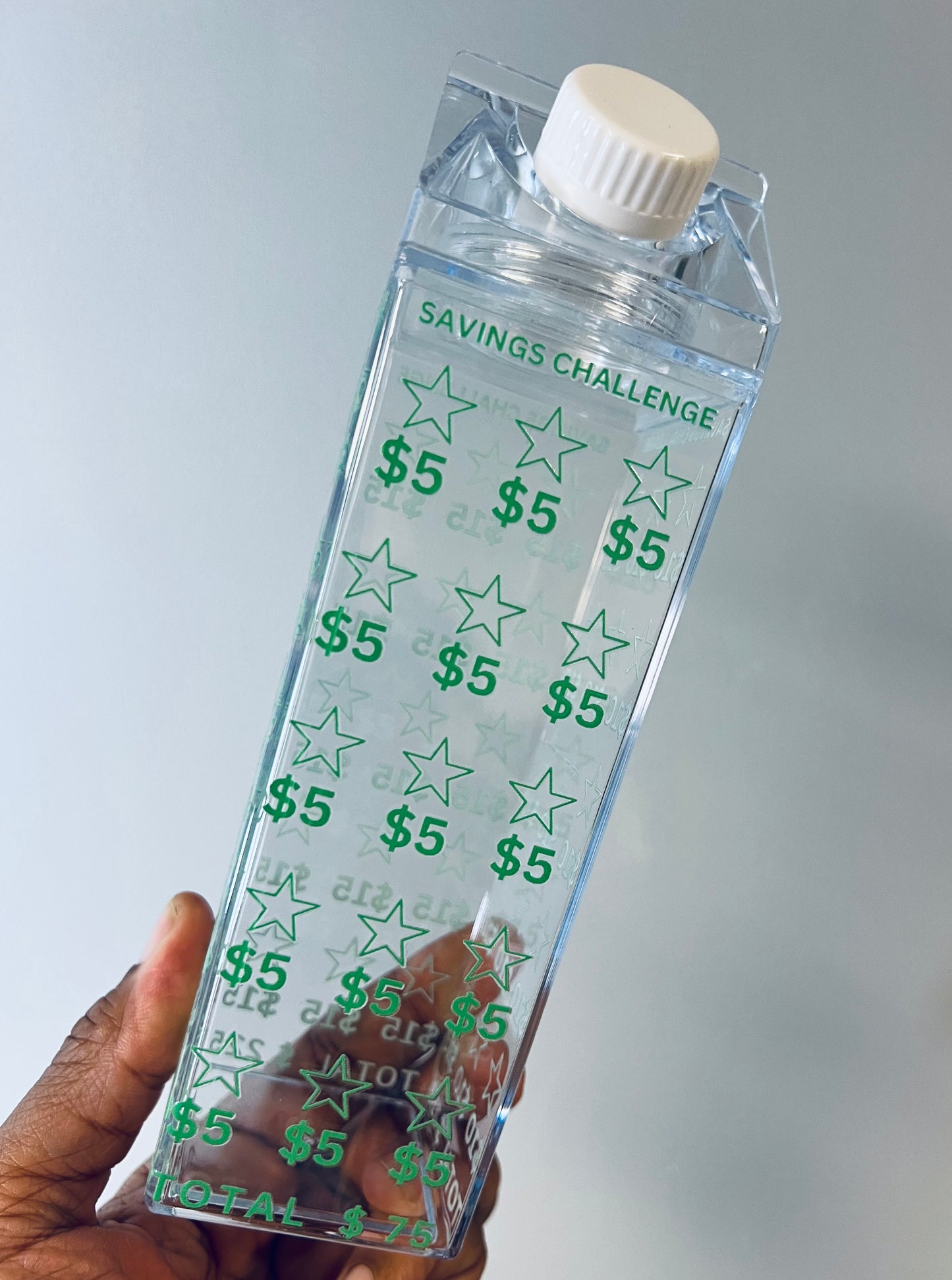 **Milk Carton Water Bottle - Savings Challenge