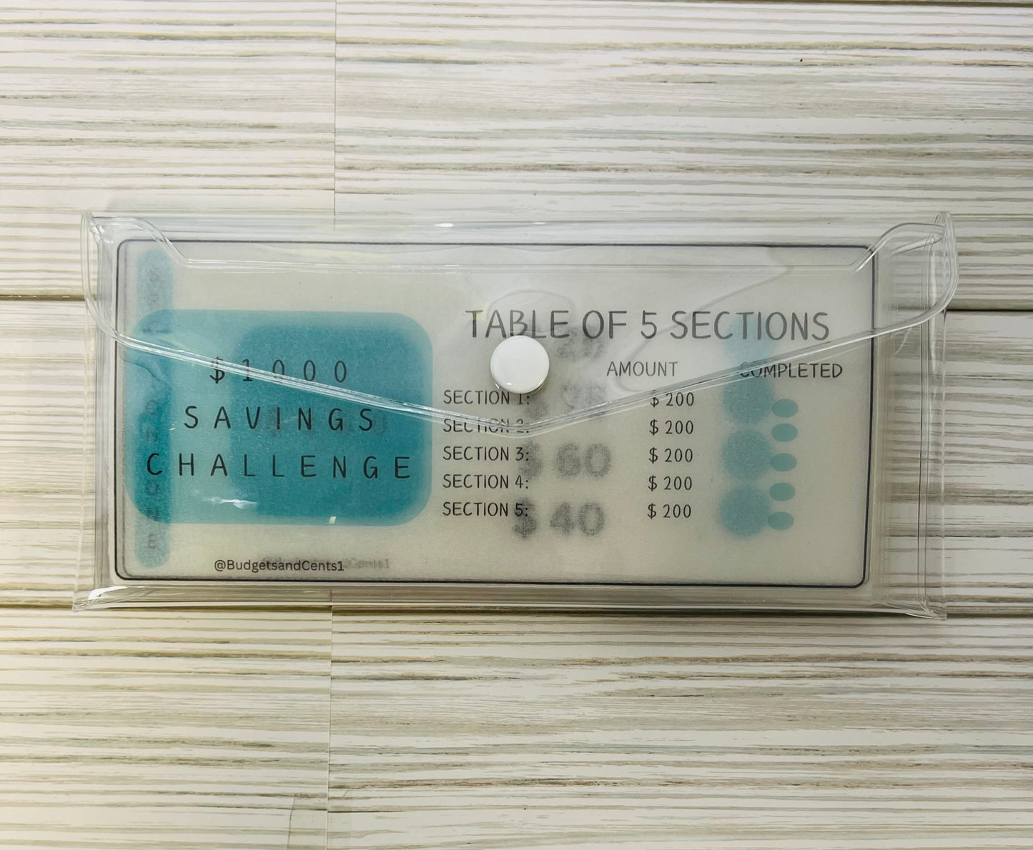 Savings Challenge Pouch - $1000