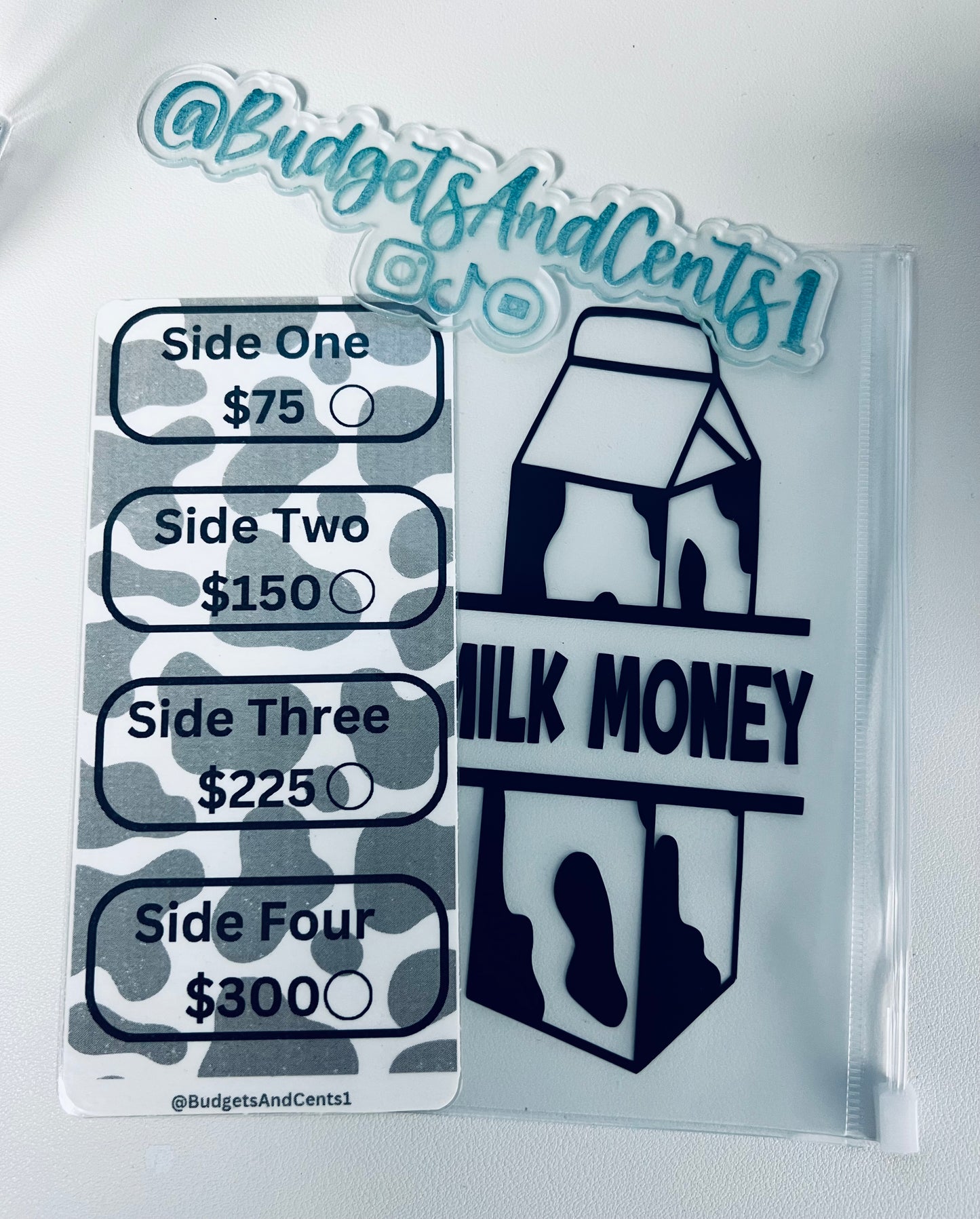 **Milk Carton Water Bottle - Savings Challenge