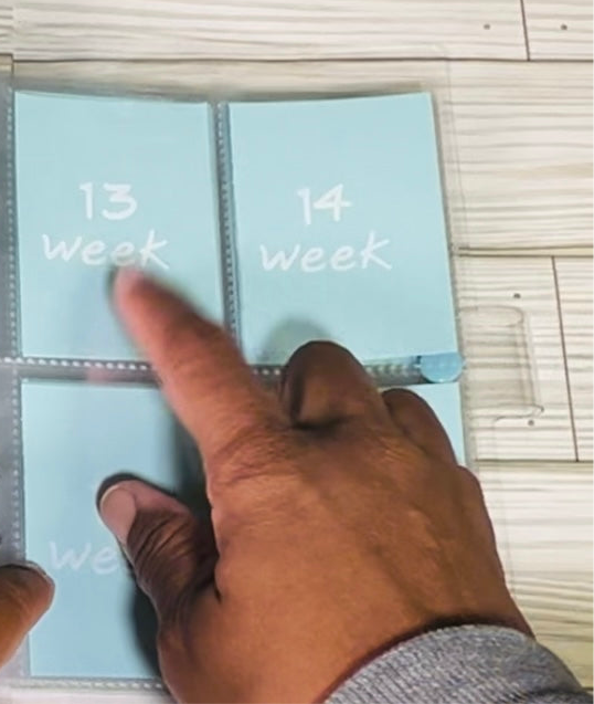 52 Week Savings Challenge Binder