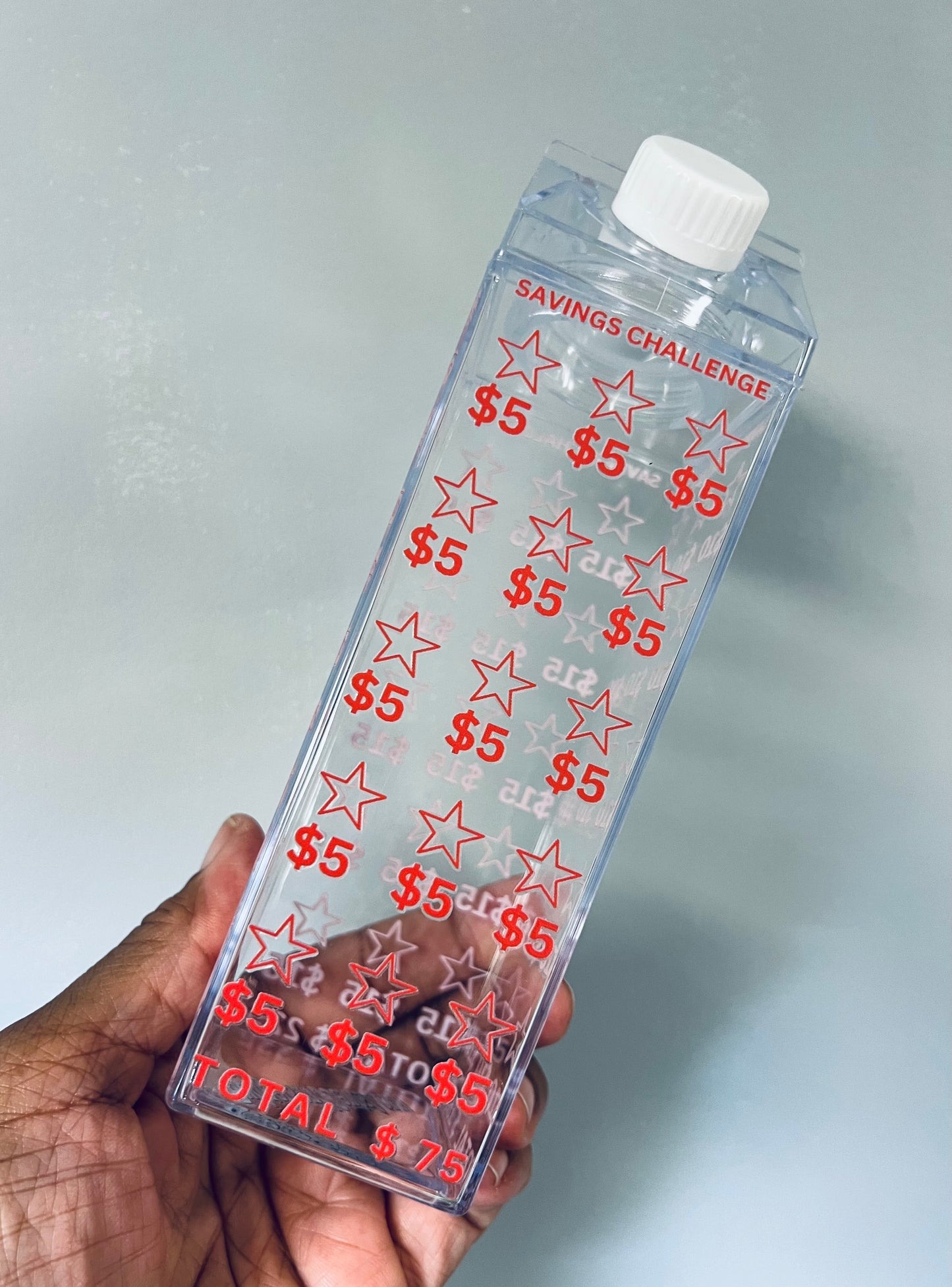 **Milk Carton Water Bottle - Savings Challenge