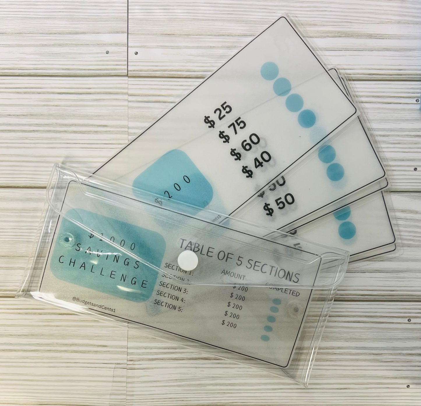 Savings Challenge Pouch - $1000