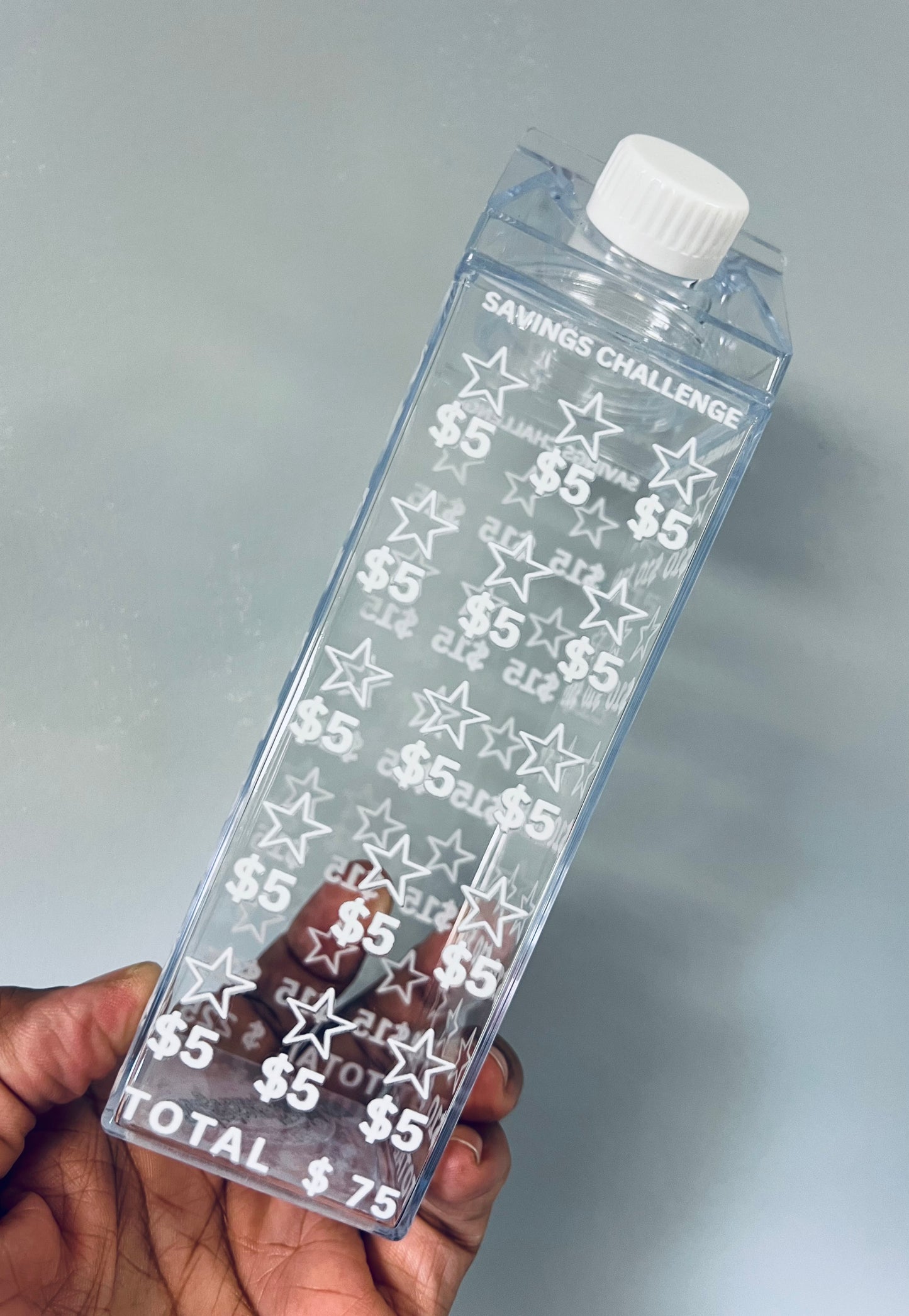 **Milk Carton Water Bottle - Savings Challenge