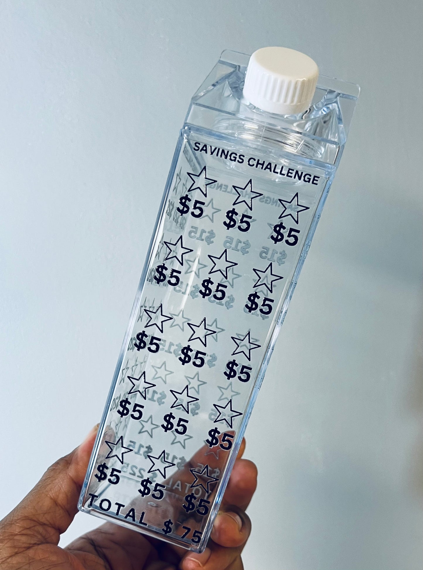 **Milk Carton Water Bottle - Savings Challenge