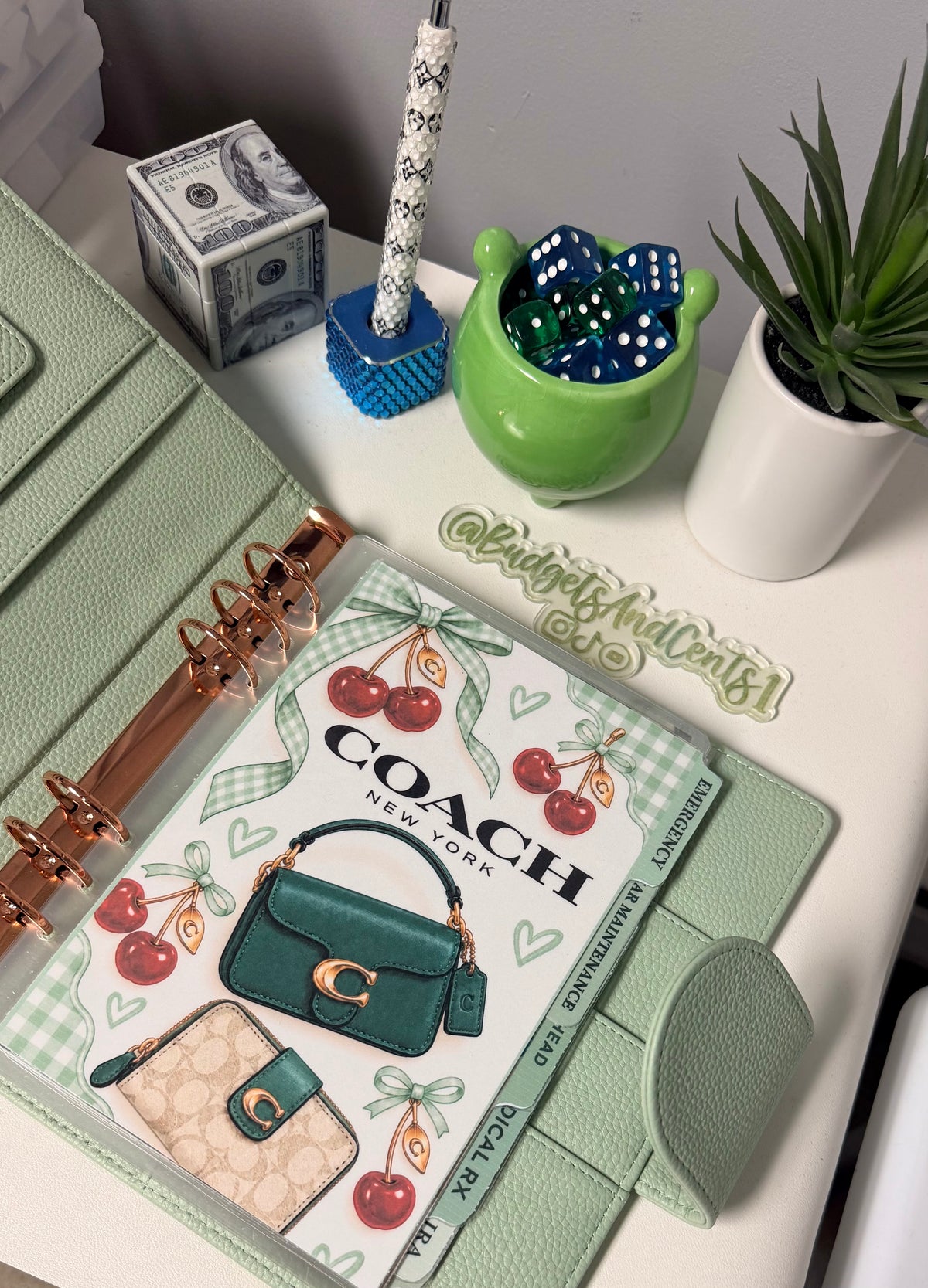 A5 Lux Dashboards & Cash Envelopes w/tabs