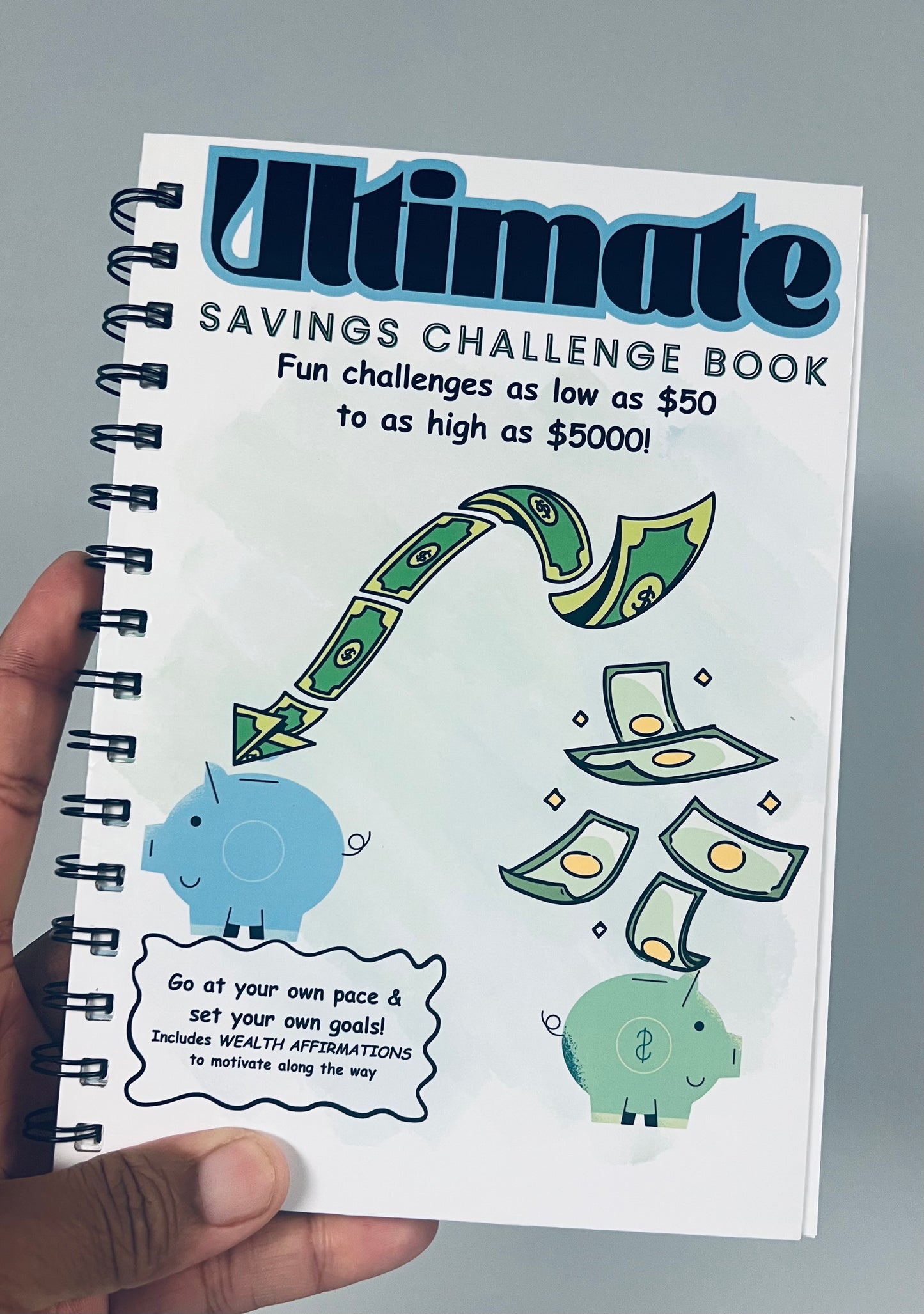 **Best Seller* Ultimate Savings Challenge Book