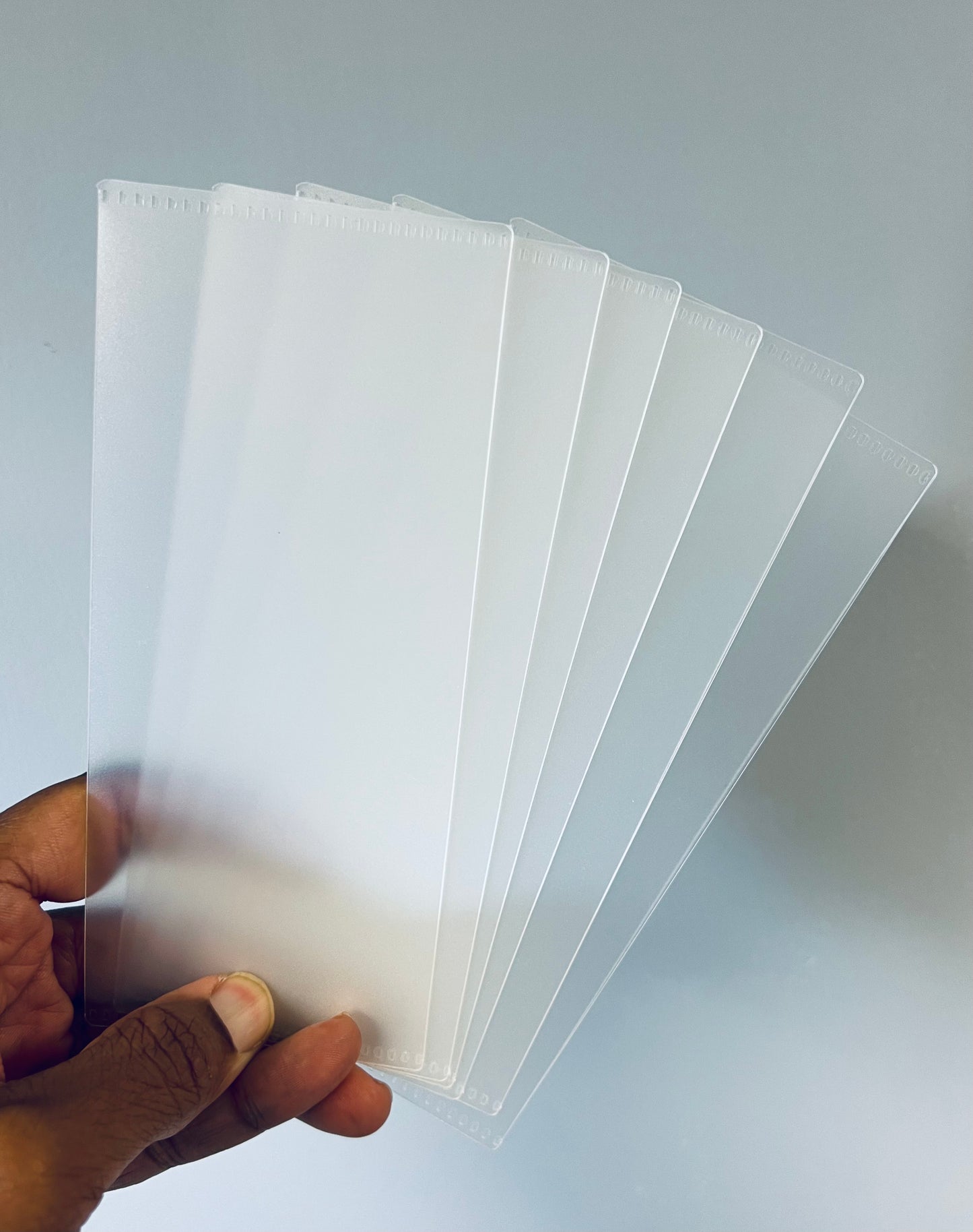 A6 Frosted Cash Envelopes w/tab