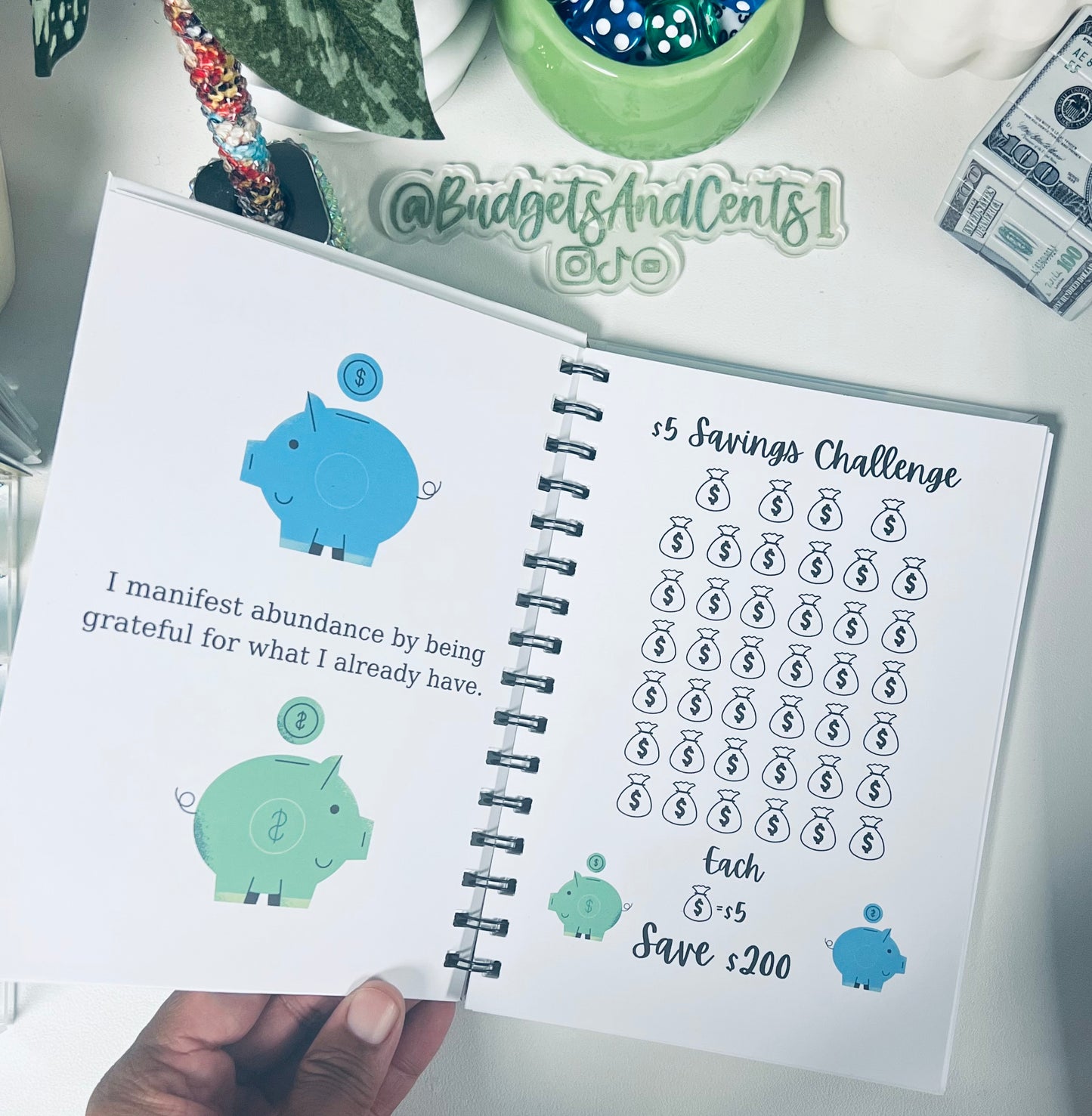 **Best Seller* Ultimate Savings Challenge Book
